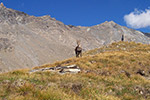 Incontro sul Rocciamelone  - foto di Giancarlo Zaia 