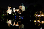 Il Castello del Valentino - foto di Massimo Giorcelli