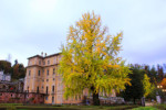 Inizia l'autunno... Villa della Regina, Torino - foto di Anna Maria Manciagli