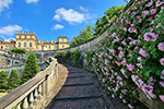 Fioritura dei roseti di Villa della Regina - foto di Anna Morale