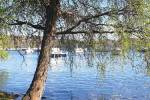 Giornata di vento al lago di Viverone - foto di Alessandra Ottaviano