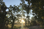 Autunno al Parco della Mandria - foto di Marcello Pedone
