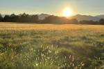 Tramonto magico alla Mandria di Venaria - foto di Marcello Pedone
