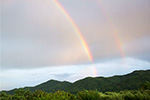 Arcobaleno, giochi di luce in val Sangone  - foto di Ludovica Martinengo 