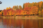 I colori dell'autunno sulle rive del Po - foto di Mariagrazia Genovese