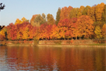 I colori dell'autunno sulle rive del Po - foto di Mariagrazia Genovese