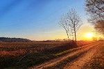 I primi raggi di sole... Orio Canavese - foto di Enrico D'Amico