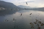 Grigia giornata autunnale sul lago di Avigliana - foto di Emidio D'Errico