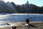 Solitudine durante il lockdown - foto di Pasquale Villirilli