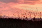 Tra le vigne di Vistrorio... tramonto - foto di Isabella Tinetti