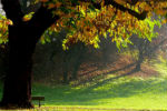 Atmosfera autunnale... parco Ruffini, Torino - foto di Giuseppe D'Ambrosio