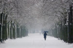 Torino... sotto la neve nel parco Colletta - Giuseppe D'Ambrosio