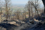 Sacro Monte di Belmonte... un sentiero dopo l'incendio - foto di Antonio Centolanza