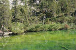 Valle Stretta, il lago Verde - foto di Filippa Dino