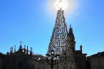 Torino, stella naturale per l'albero di piazza San Carlo - foto di Maria Vittoria Filotto