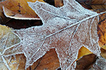 Chieri... una mattina d'autunno - foto di Giovanna Benvenuto