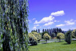 Azzurro... parco De Gasperi, Settimo Torinese - foto di Anna Maria Gnoffo