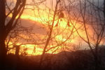 Tra i rami... tramonto di fuoco a Borgiallo - foto di Elisa Leonardi