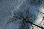 Moncalieri, con la testa tra le nuvole... - foto di Maurizio Parola