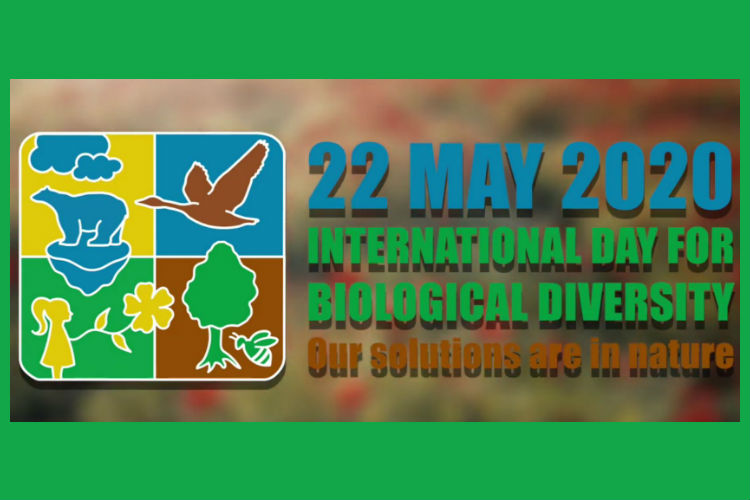 Giornata mondiale della biodiversità (01)