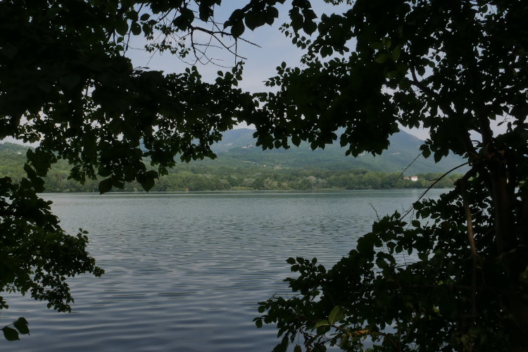 ll Lago Piccolo di Avigliana migliora ma rimane non balneabile