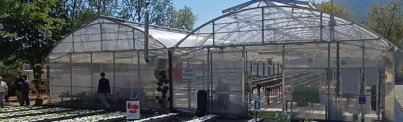 la nuova serra idroponica