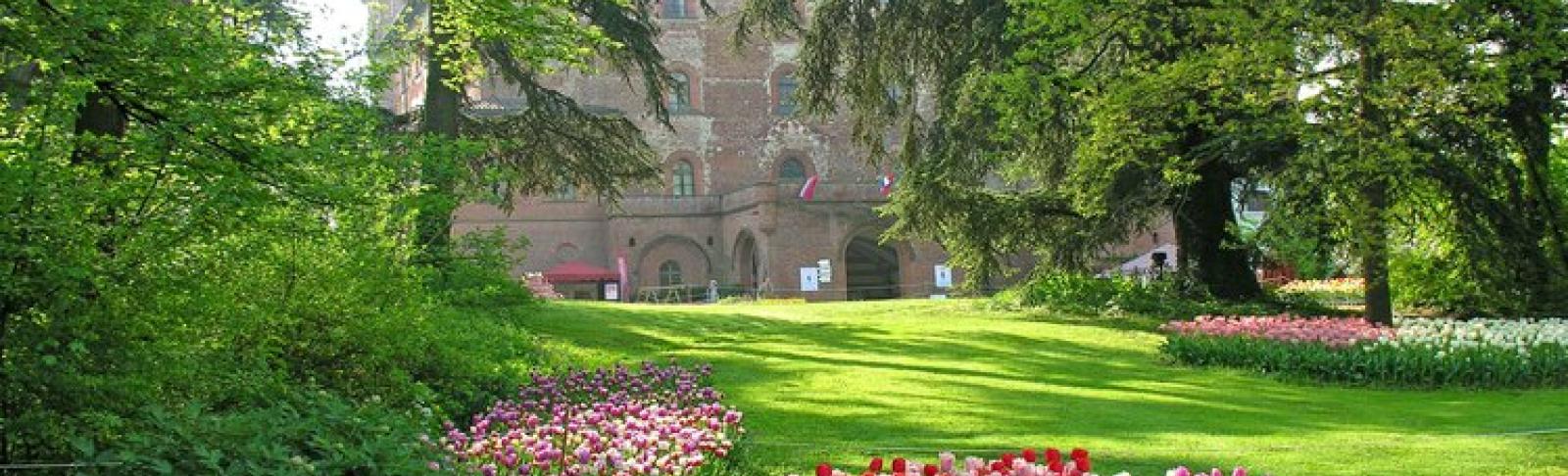 25 anni di Messer Tulipano!