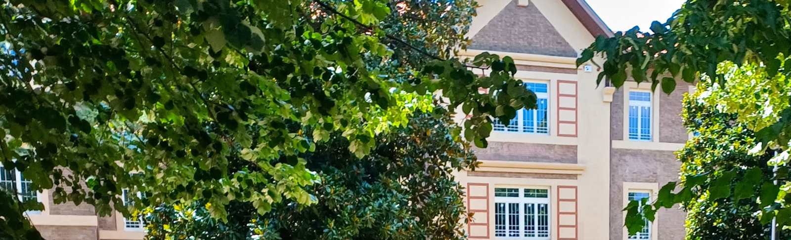 Copertina con immagine Villa 6