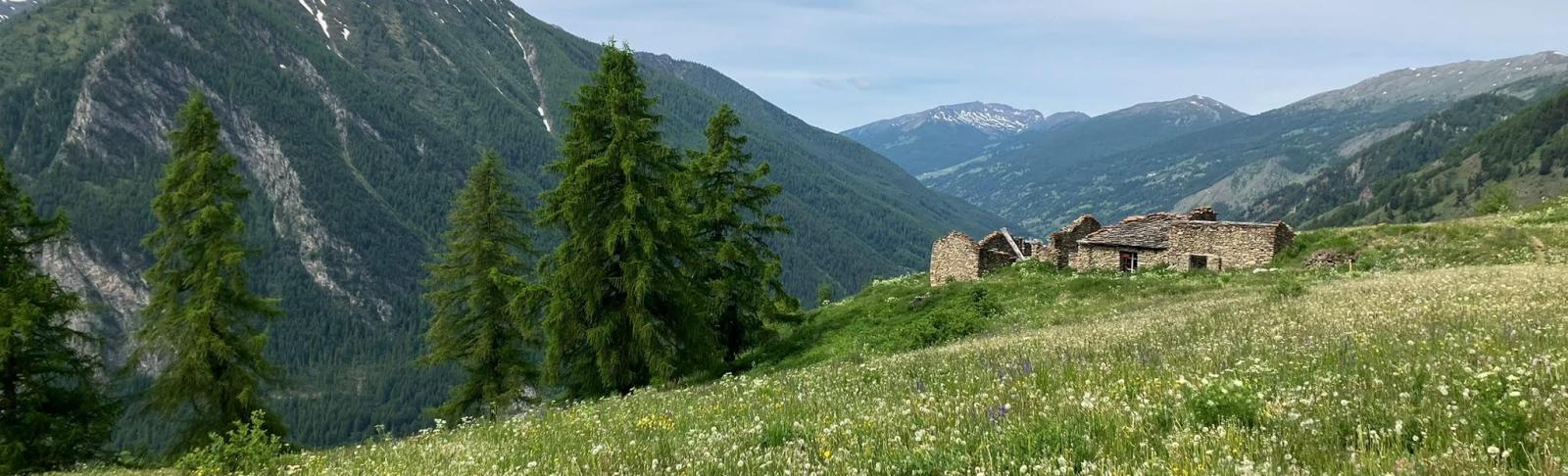 Paesaggio montano