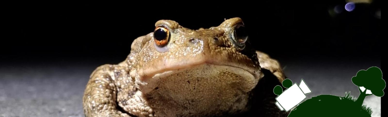 Copertina connettere l'ambiente