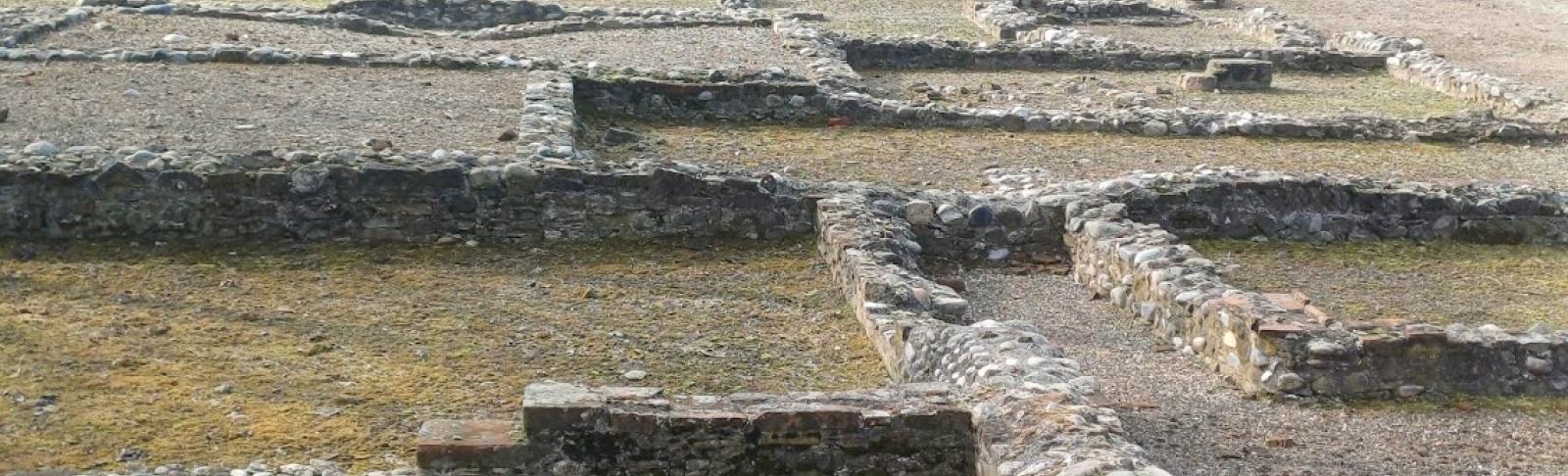 Gli scavi archeologici di "Industria" a Monteu da Po