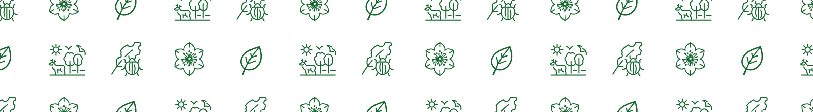 Canale fauna e flora