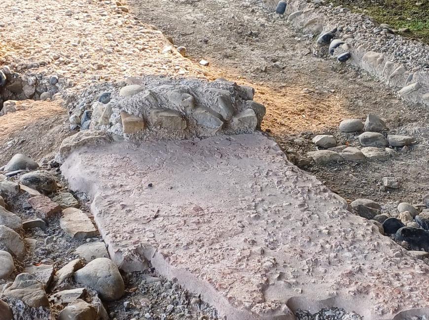 Gli scavi archeologici di "Industria" a Monteu da Po