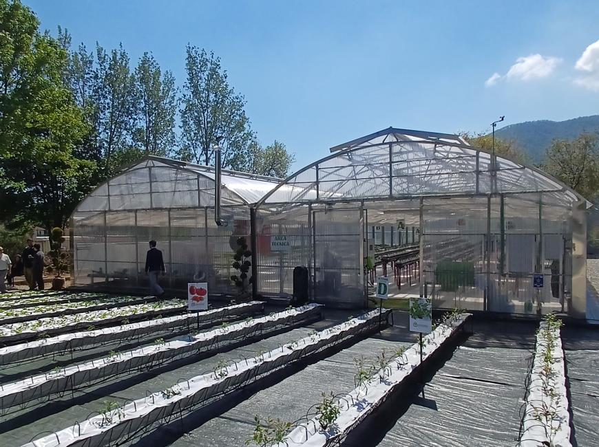 la nuova serra idroponica