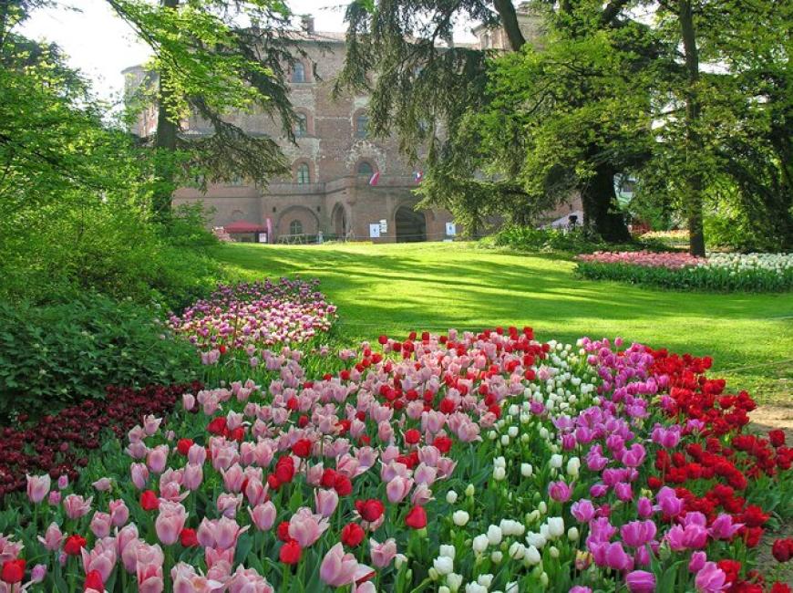 25 anni di Messer Tulipano!