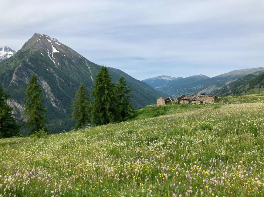 Paesaggio montano