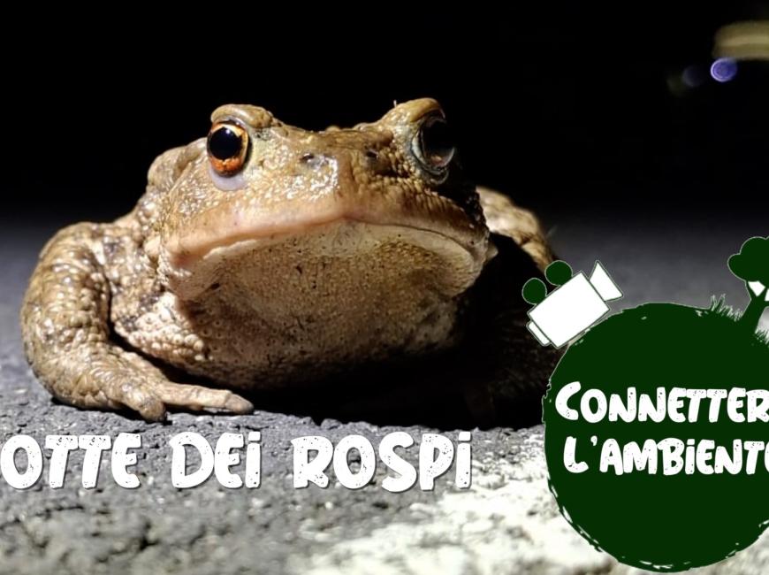 Copertina connettere l'ambiente