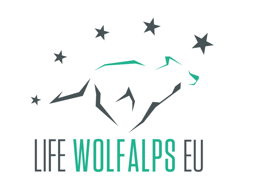 Prevenzione incidenti con fauna selvatica