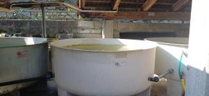 le vasche dell'incubatoio ittico