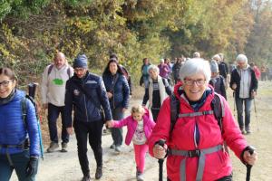 Camminate Sentiero Verde repertorio