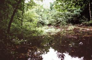 Lago nei pressi di Ivrea