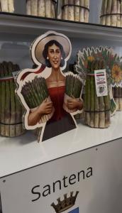 gli asparagi di Santena