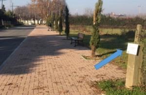 Comune di Beinasco A4-BEI - Ampliamento della viabilità frazione Borgaretto- Area Cimitero