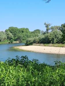 Bosco del Gerbasso a Carmagnola