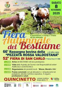 Fiera autunnale del bestiame a Quincinetto, 8 novembre 2025