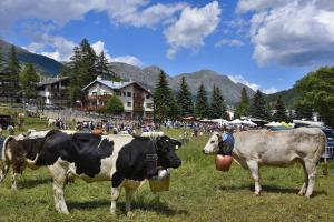 Miss Mucca Pragelato