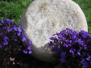 Plasentif famiglia Challier Balboutet