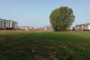 Comune di San Mauro SAN-B1 - Area verde PraGranda