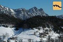 TreDenti foto e logo