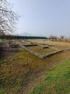 Gli scavi archeologici a Monteu da Po